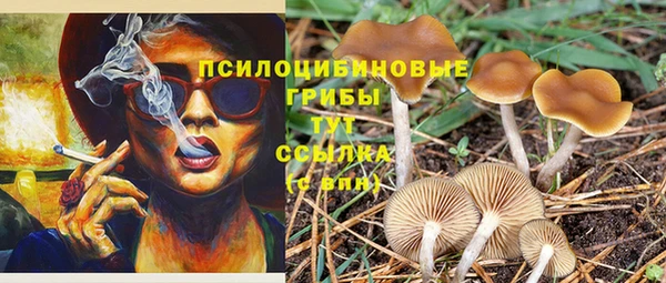 мяу мяу мука Лагань