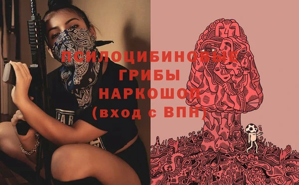 не бодяженный Лабытнанги