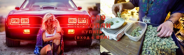 прущая мука Тайга