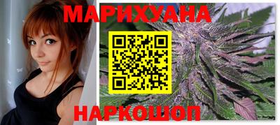 сатива Бузулук