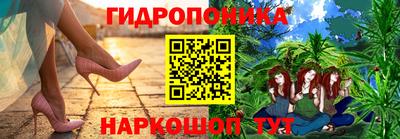 хмурый Дубна