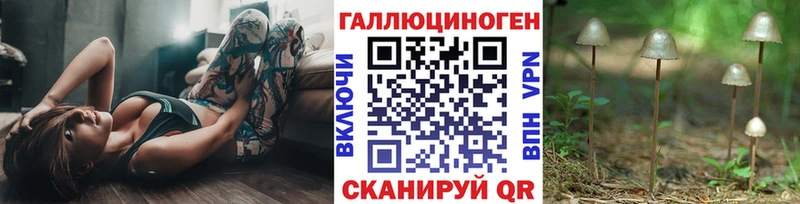 Псилоцибиновые грибы GOLDEN TEACHER где продают Кубинка