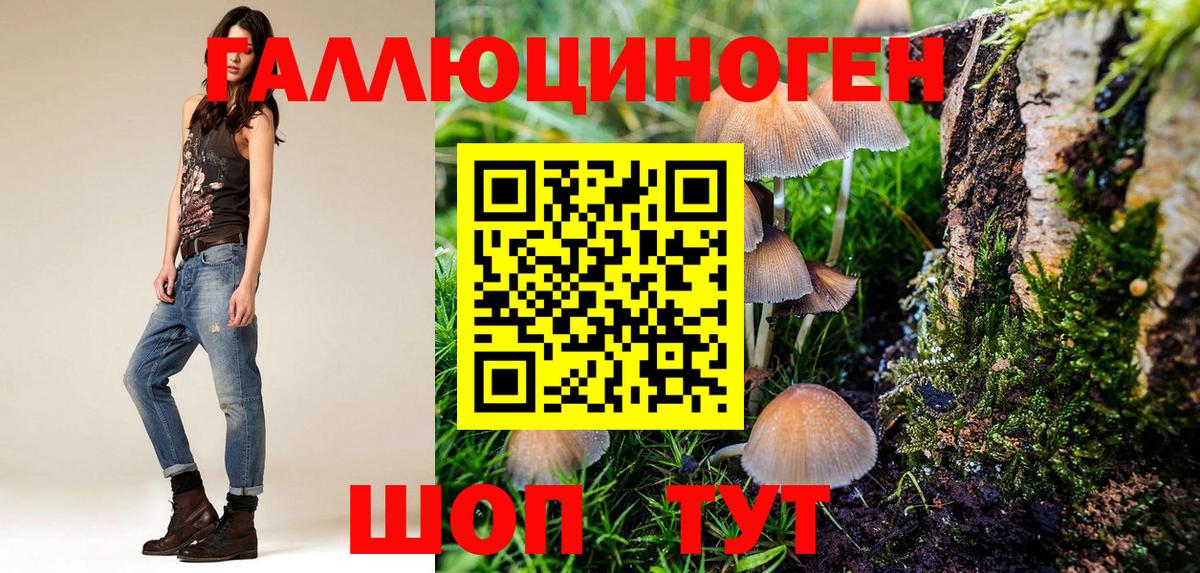 Галлюциногенные грибы Cubensis  Кубинка 