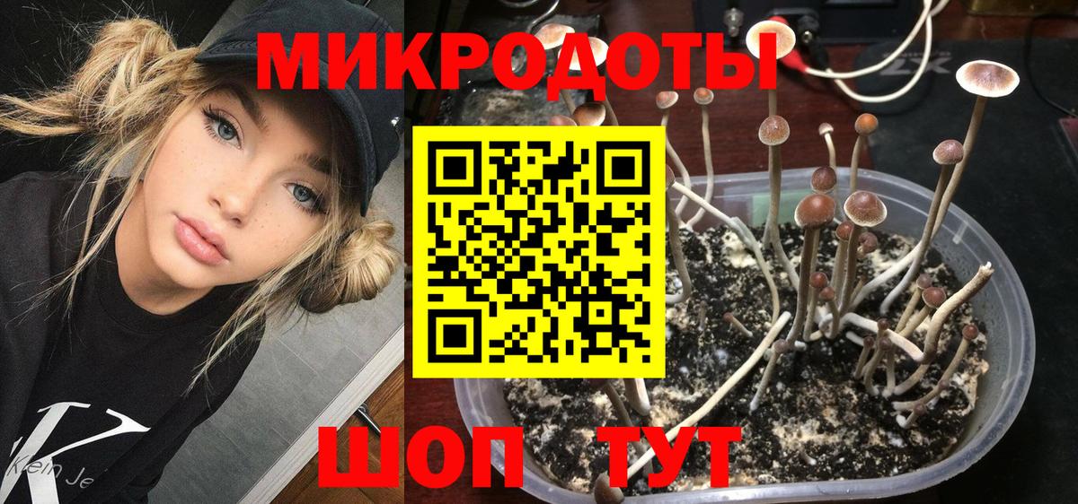Галлюциногенные грибы Cubensis  Вход с VPN  Кубинка 