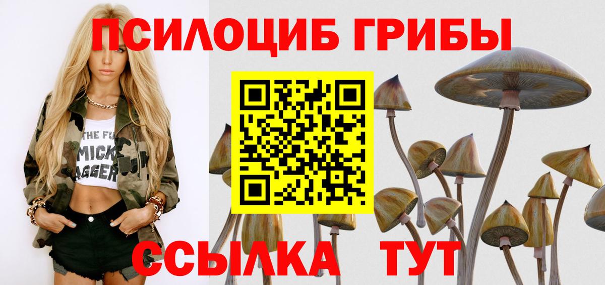 Галлюциногенные грибы мицелий Кубинка
