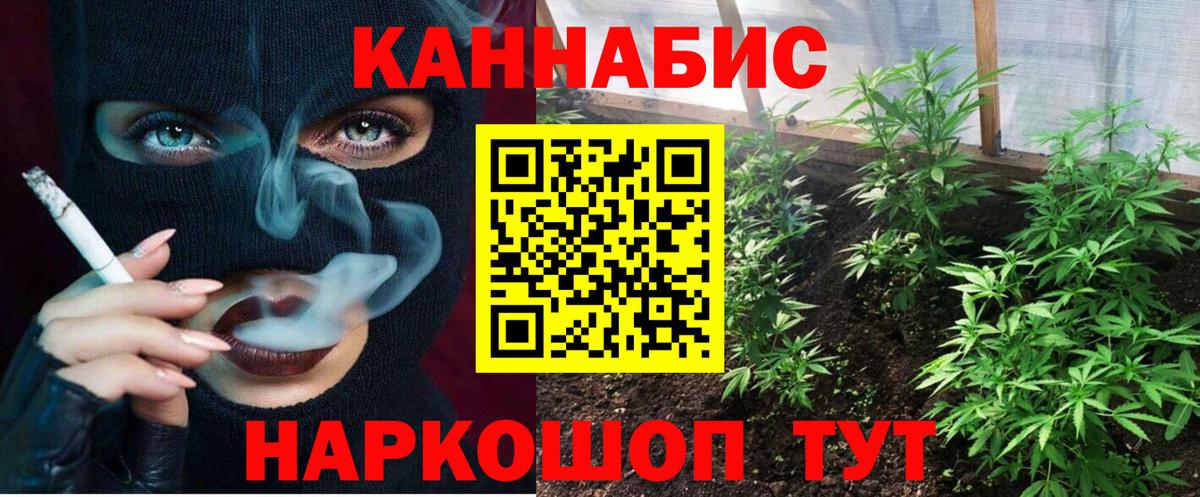 Марихуана планчик Кубинка